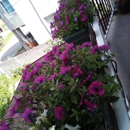 Apartamento Centrala *